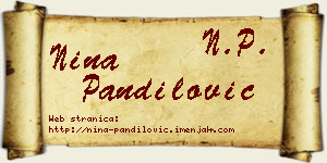 Nina Pandilović vizit kartica
